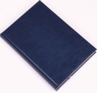 Realsystem Standard B5 2026 Napi naptár - Kék