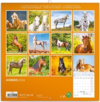 Realsystem 300 x 300mm 2024 Falinaptár - Horses