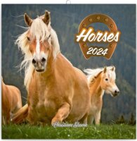 Realsystem 300 x 300mm 2024 Falinaptár - Horses