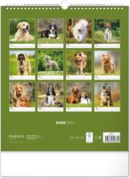 Realsystem 300 x 340mm 2023 Falinaptár - Dogs