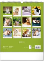 Realsystem 300 x 340mm 2023 Falinaptár - Cats