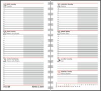 Realsystem SP2 171 x 95mm 2023 Zsebnaptár - Lepkék