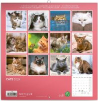 Realsystem 300 x 300mm 2024 Falinaptár - Cats