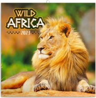 Realsystem 300 x 300mm 2023 Falinaptár - Wild Africa