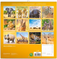 Realsystem 300 x 300mm 2023 Falinaptár - Wild Africa