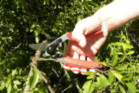 Felco 12 Classic metszőolló