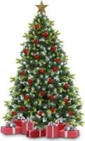 SOB180 180 cm magas karácsonyi műfenyő Dekoráció