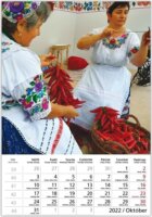 Toptimer 220 x 330mm 2022 Falinaptár - Hungary