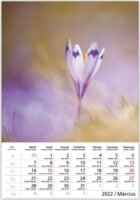 Toptimer 220 x 330mm 2022 Falinaptár - Hangulatok