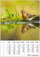 Toptimer 220 x 330mm 2022 Falinaptár - Hangulatok