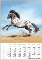 Toptimer 220 x 330mm 2022 Falinaptár - Lovak
