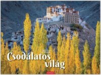 Toptimer 420 x 310mm 2022 Falinaptár - Csodálatos világ