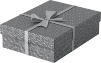 Esselte Home karton Tárolódoboz / Ajándékdoboz 36,8L - Szürke (3 db / csomag)