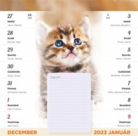 Toptimer 220 x 220mm 2024 Mágneses falinaptár - Cicás