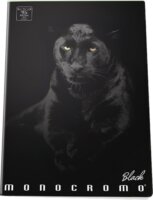 Pigna Moncromo Black Panther 42 lapos A5 sima notesz