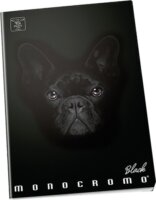 Pigna Moncromo Black Dog 42 lapos A5 sima notesz
