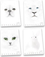 Pigna Monocromo White 38 lapos A4 vonalas füzet többfajta