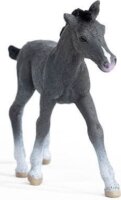 Schleich Horse Club: Trakehner csikó figura