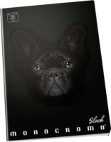 Pigna Monocromo Black A5 42lapos kockás füzet