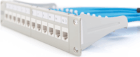 Digitus DN-91419 10" Patch panel - 12 port