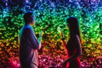 Twinkly TWS250STP RGB Beltéri okos LED karácsonyfa fényfüzér 20m - Színes