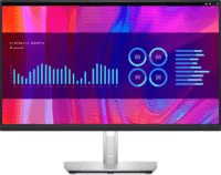 Dell 23.8" P2423DE Monitor