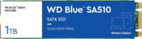 Western Digital 1TB Blue SA510 M.2 SATA3 SSD
