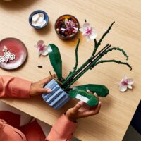 LEGO® Icons: 10311 - Orchidea