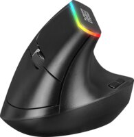 Everest SMW-618 RGB Wireless Egér - Fekete