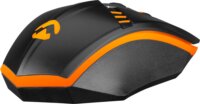 Everest SM-G97 Gank RGB USB Gaming Egér - Fekete