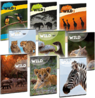 Ars Una The Eyes of the Wild 40 lapos A4 sima füzet - Többfajta