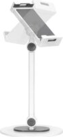 NewStar DS15-540WH1 4,7"-12,9" Asztali Tablet tartó - Fehér