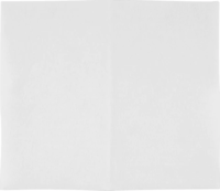 Electrolux EF2 Mikroszűrő (1 db / csomag)