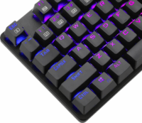 T-Dagger Bora USB RGB Mechanikus Gaming Billentyűzet (Blue Switch) - Magyar
