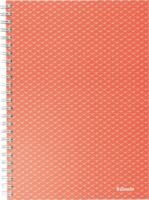 Esselte Colour'Breeze 80 lapos A5 kockás spirálfüzet - Piros