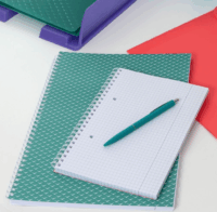 Esselte Colour'Breeze 80 lapos A4 kockás spirálfüzet - Zöld