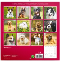 Realsystem Dogs 300 x 600mm 2023 Falinaptár - Mintás