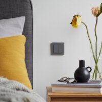 Senic Friends of Hue Smart vezeték nélküli kettős Okos fali villanykapcsoló - Matt antracit