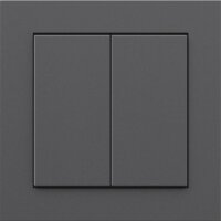 Senic Friends of Hue Smart vezeték nélküli kettős Okos fali villanykapcsoló - Matt antracit