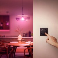 Philips Hue Tap Dial vezeték nélküli beltéri Okos fali villanykapcsoló - Fekete