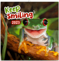 Realsystem 300 x 600mm 2023-as falinaptár - Keep smiling
