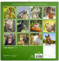 Realsystem 300 x 600mm 2023-as falinaptár - Keep smiling