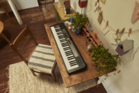 Casio LK-S250 Elektromos szintetizátor