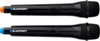 Blaupunkt PartyBox PB12DB Bluetooth hangszóró - Fekete