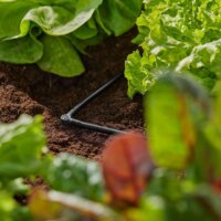 Gardena 13212-20 Micro Drip System L-csukló 4,6mm 3/16" (10 db / csomag)