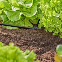 Gardena 13211-20 Micro Drip System T-csukló 4,6mm 3/16" (10 db / csomag)