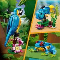 LEGO® Creator 3-in-1: 31136 - Egzotikus papagáj