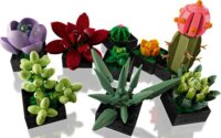 LEGO® Icons: 10309 - Pozsgások
