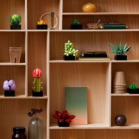 LEGO® Icons: 10309 - Pozsgások