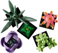 LEGO® Icons: 10309 - Pozsgások